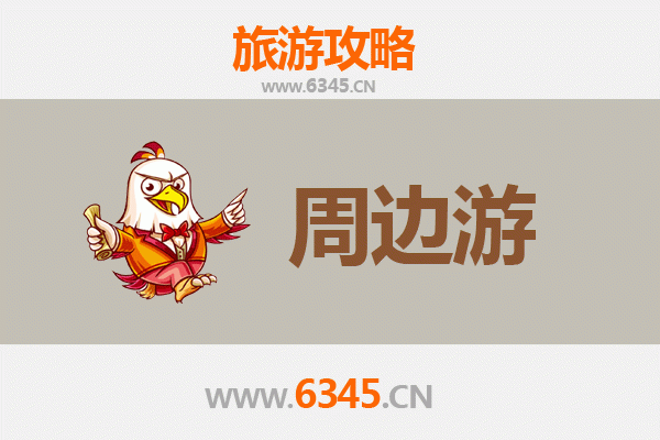 五指山南圣镇深度周边游攻略：雨林探秘与黎苗文化体验
