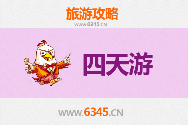 五指山南圣镇四天三夜深度游攻略：雨林探险与黎苗文化体验