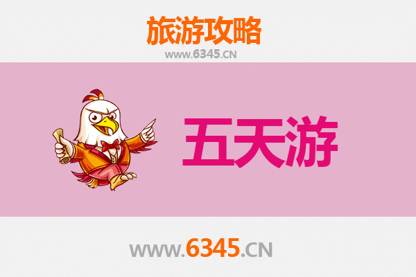 五指山南圣镇五天四夜深度游攻略：雨林探险与黎苗文化体验